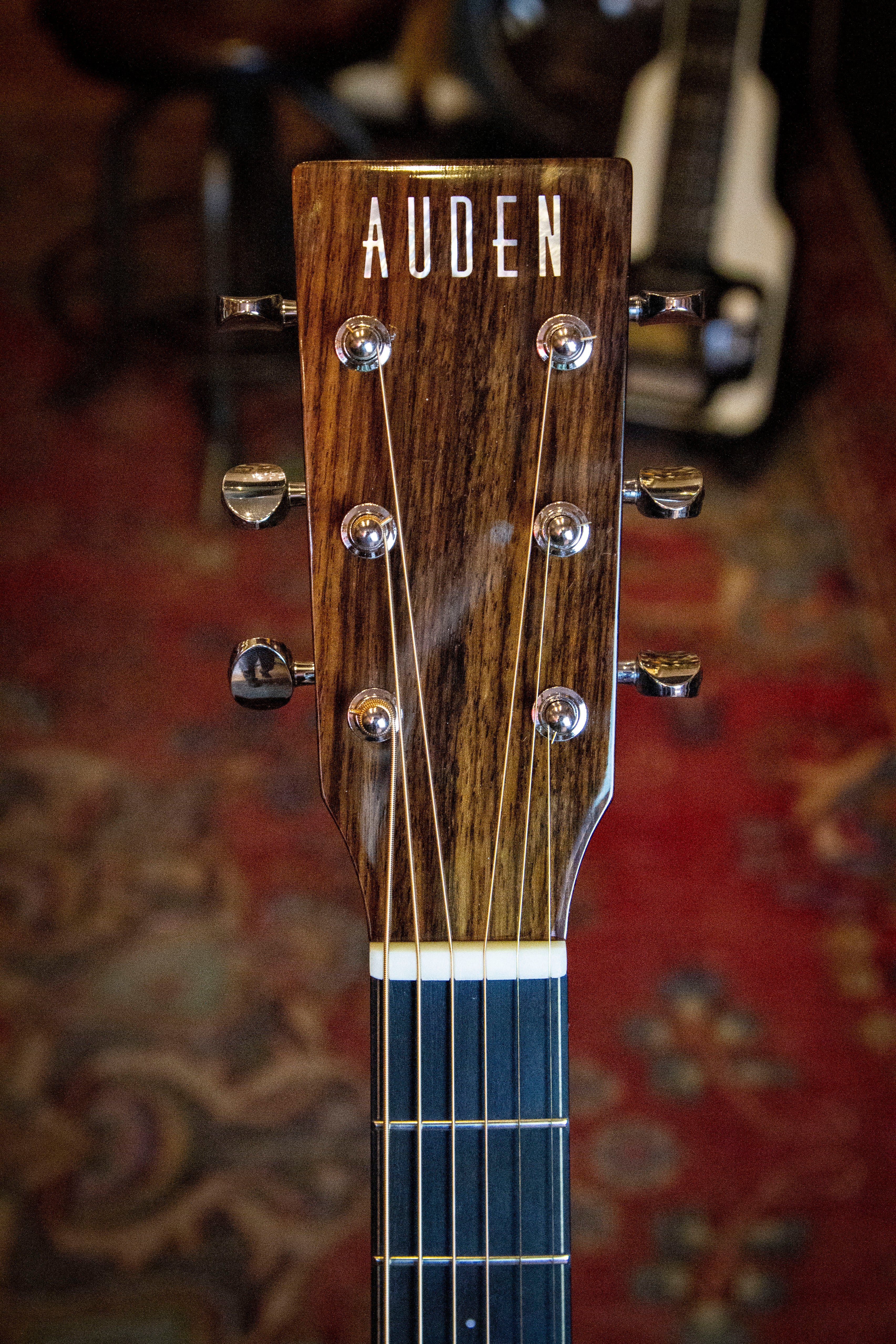Auden Rosewood Series Colton - Spruce Full Body - Regent Sounds