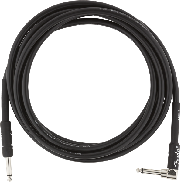 Fender Professional Series 10' Cable Angle Black - Regent Sounds