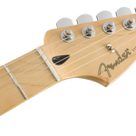 Fender Player Stratocaster Black MN - Regent Sounds