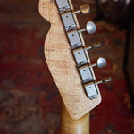 PJD Carey Apprentice Relic Frosted Cherry 955 - Regent Sounds