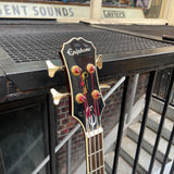 Epiphone Allen Woody Signature Rumblekat - Regent Sounds