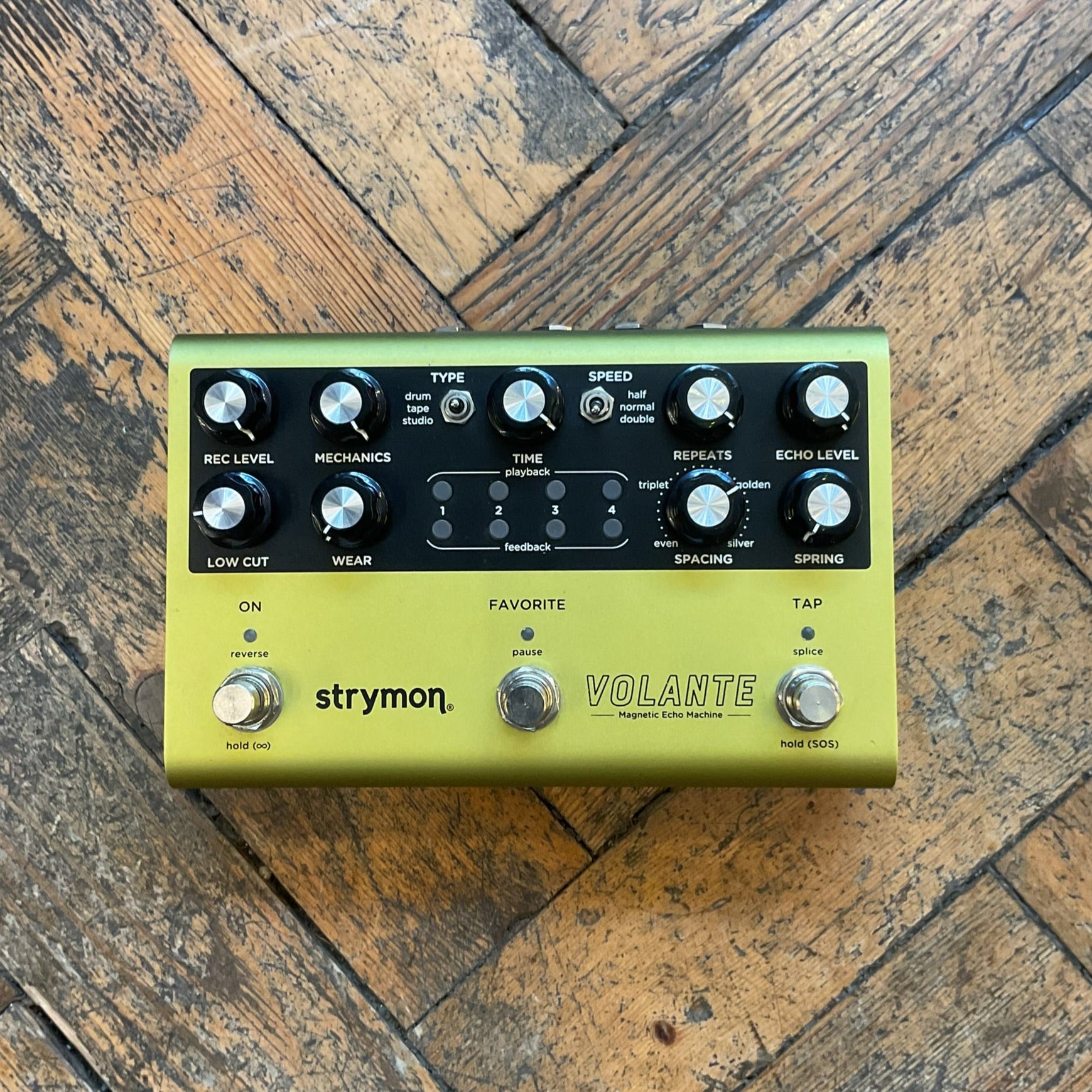 Strymon Volante - Regent Sounds