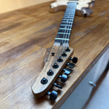 Crimson Guitars Raw Series - Regent Sounds