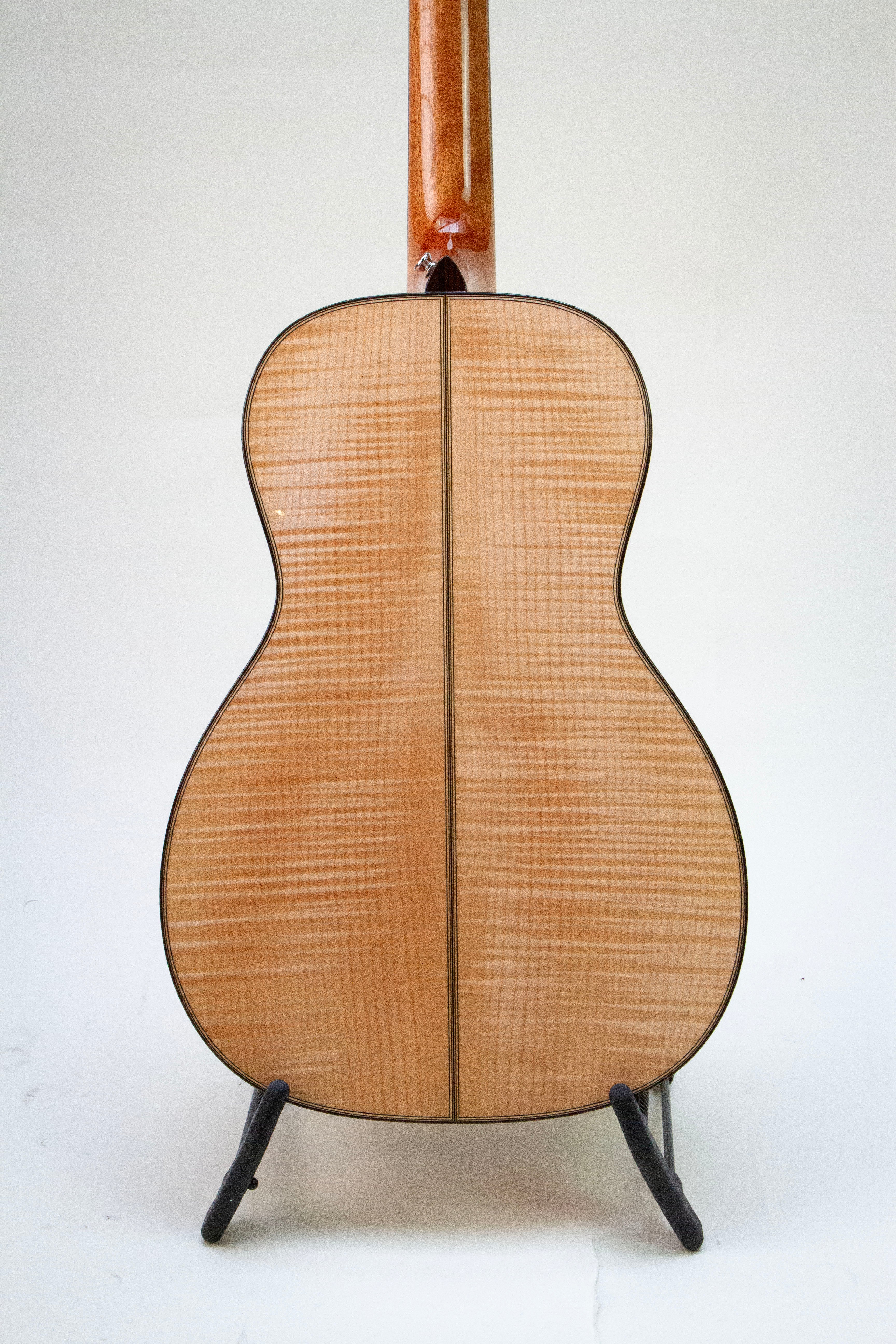 Auden Maple Series Emily Rose - Regent Sounds