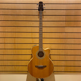 Takemine Acoustic Bass Second Hand