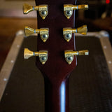 Blast Cult Hollow Vee Electric Guitar - Regent Sounds