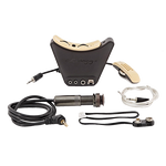 LR Baggs Anthem ELE/MIC Pickup System - Regent Sounds