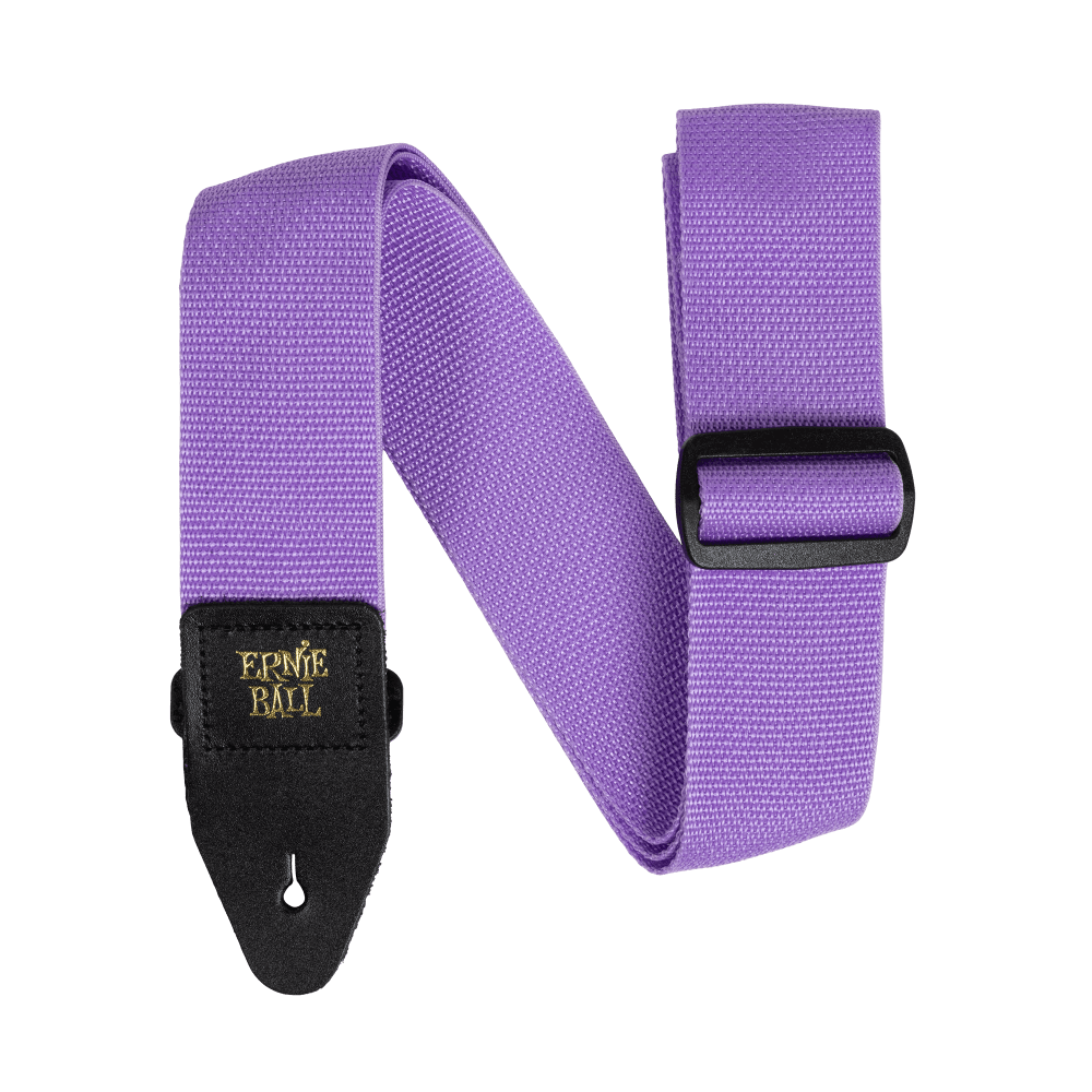 Ernie Ball Polypro Purple Sunset - Regent Sounds