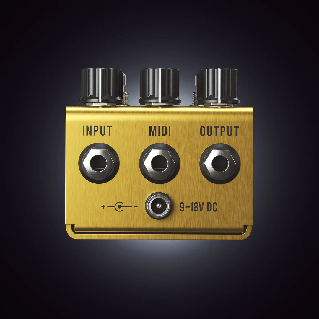 Jackson Audio Golden Boy - Regent Sounds