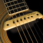 LR Baggs M1 Active - Regent Sounds