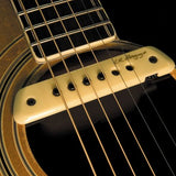 LR Baggs M1 Active - Regent Sounds