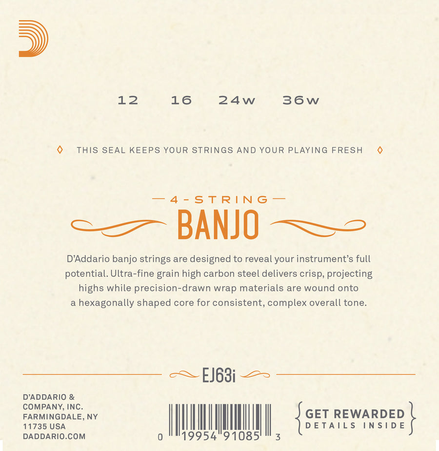 D'addario EJ63I Irish Tenor Banjo 12-36 - Regent Sounds